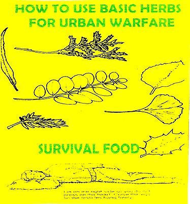 How to use basic herbs for urban warfare +FREE CD!