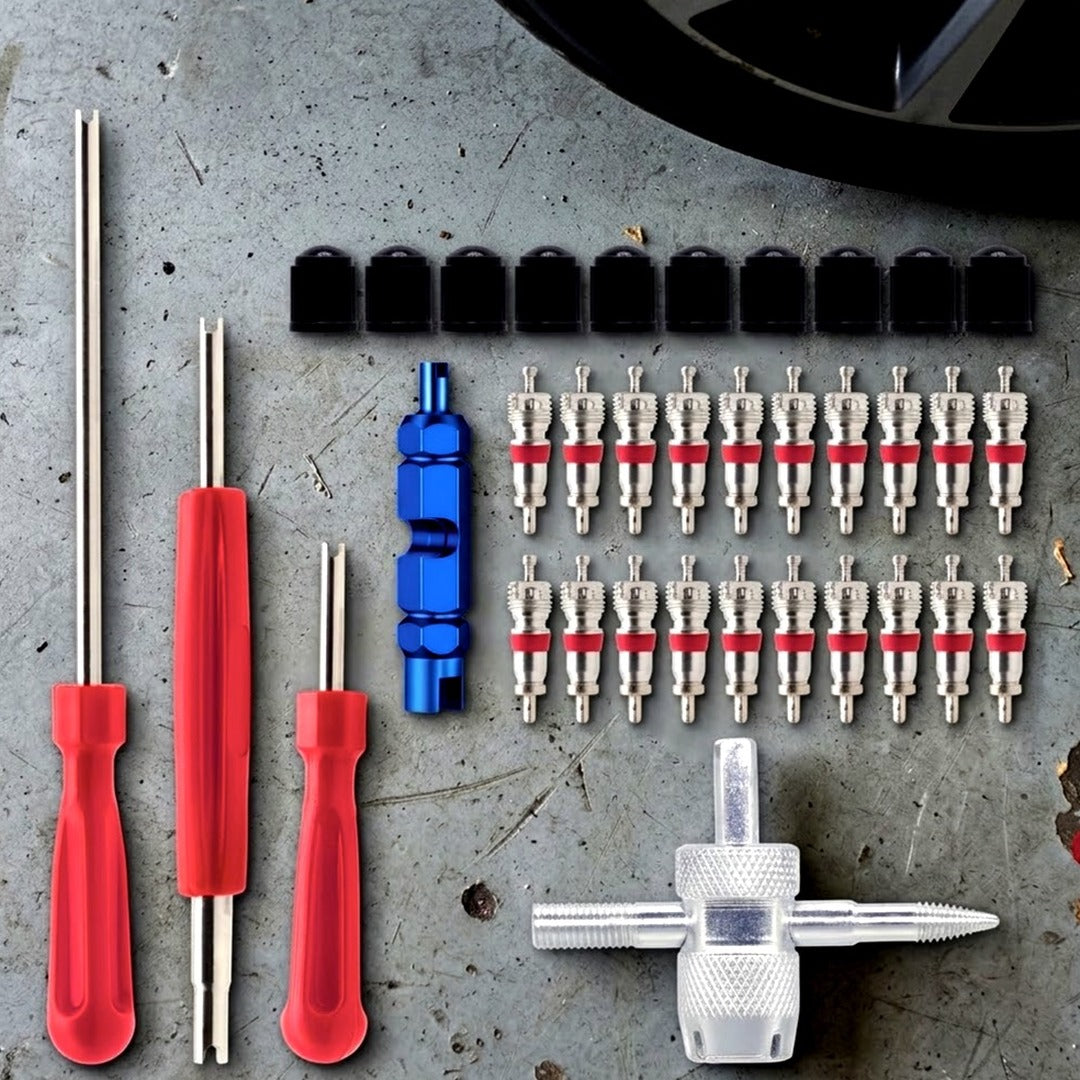 Tire Valve Stem Removal Tool Kit with 20 Valve Cores & 10 Caps, Schrader Core Tool