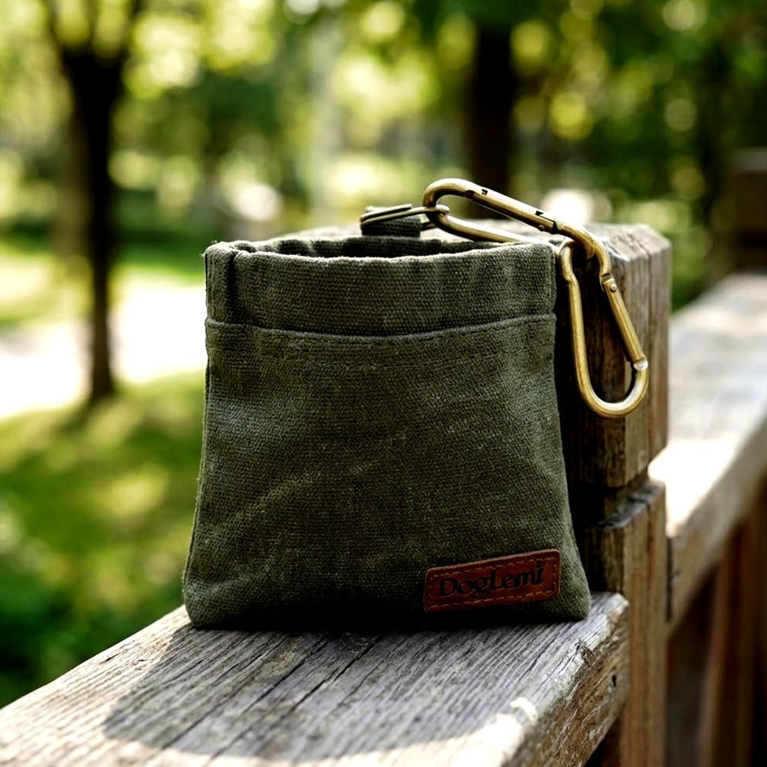 Portable Dog Treat Pouch, Hands-Free Waterproof Training Treat Bag with Carabiner