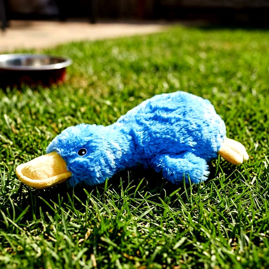 Best Pet Supplies Crinkle Duck Squeaky Plush Dog Toy, Blue, Soft Interactive Toy