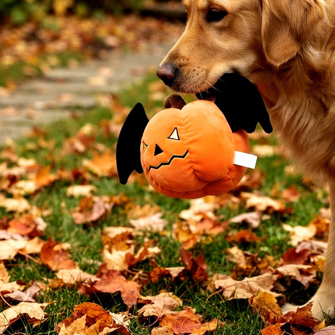 Halloween Pumpkin Squeaky Plush Dog Toy with Crinkle Wings for Puppies