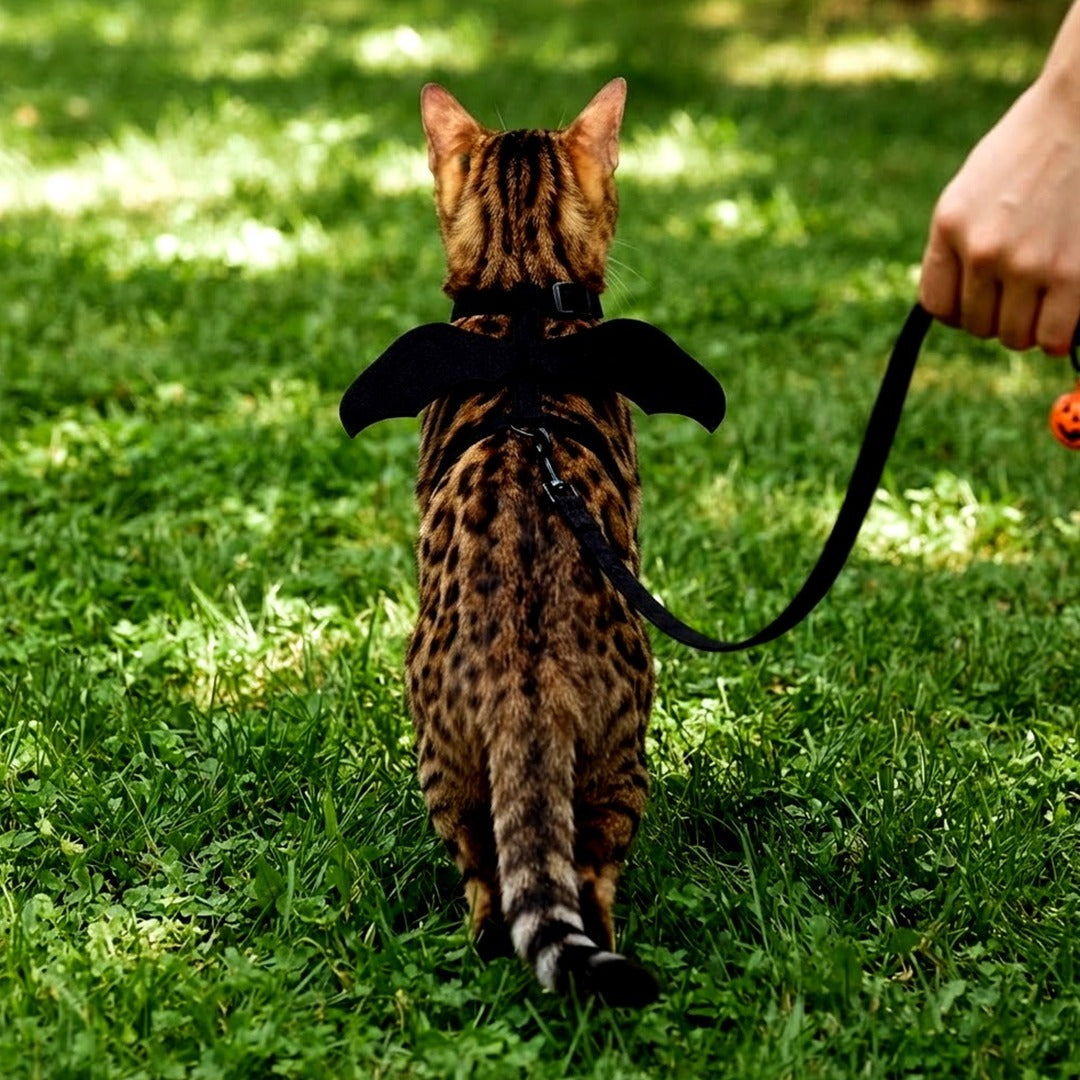 Cat Harness and Leash Set with Bat Wings, Escape Proof Adjustable Halloween Vest, Small