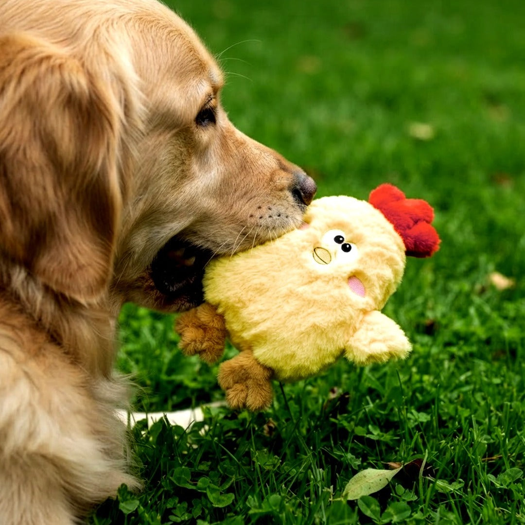 Crinkle Chicken Dog Toy, 14 Inch No-Stuffing Squeaky Plush