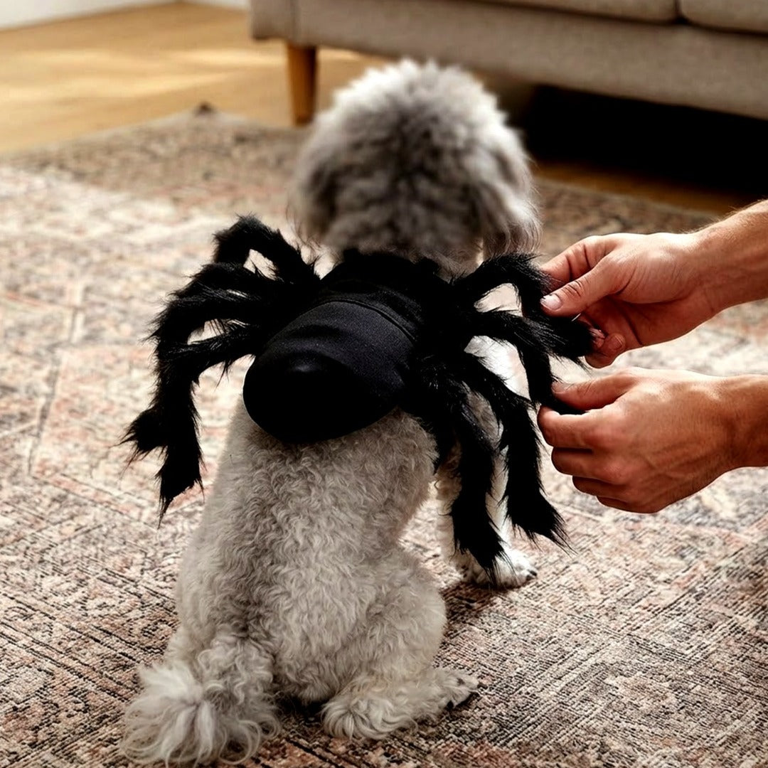 Spider Halloween Costume for Small Dogs and Cats, Felt with 8 Furry Legs