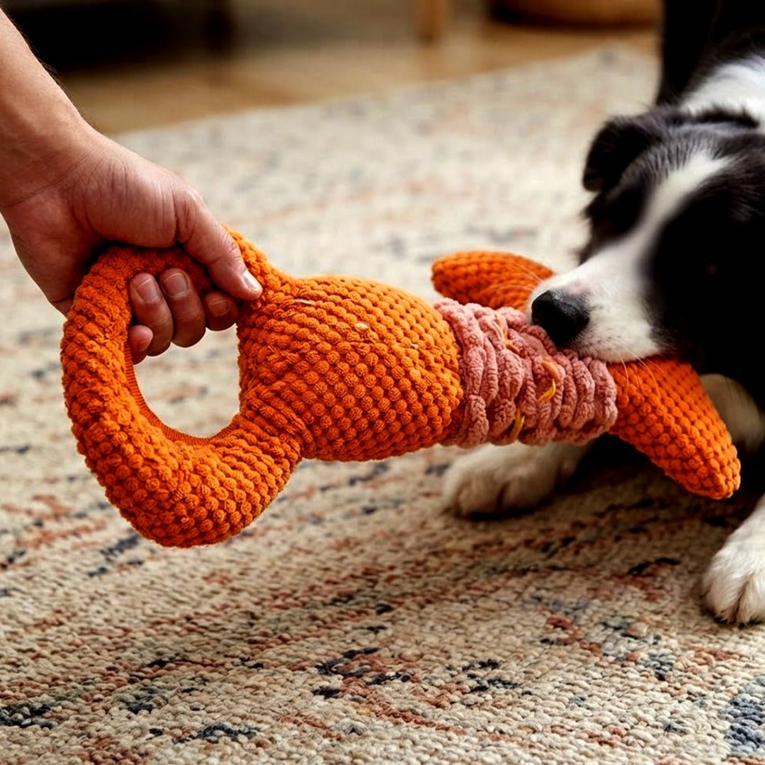 Lobster Plush Squeaky Dog Toy with Stretchy Tug Band, Interactive Chew Toy