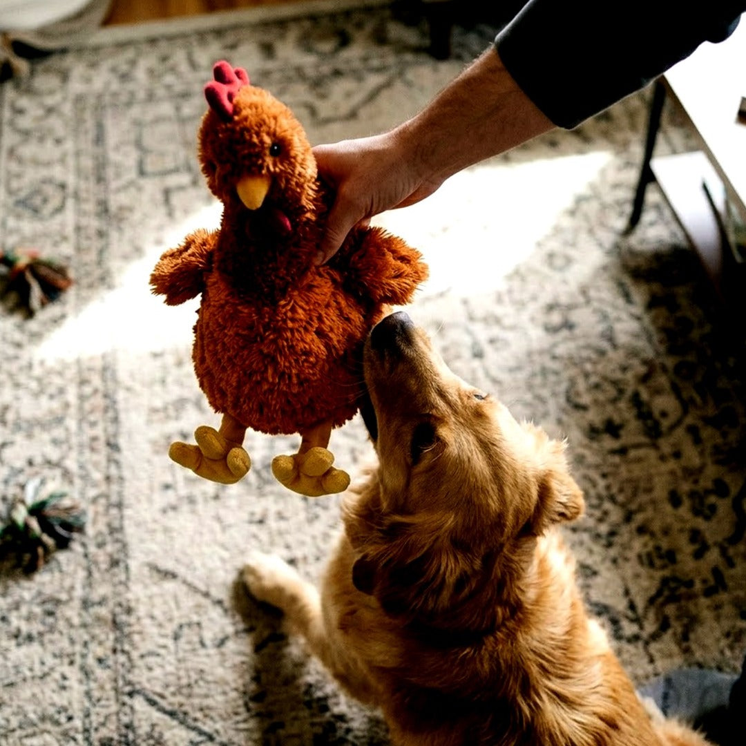 Best Pet Supplies Crinkle Squeaky Plush Dog Toy, Chicken, Brown