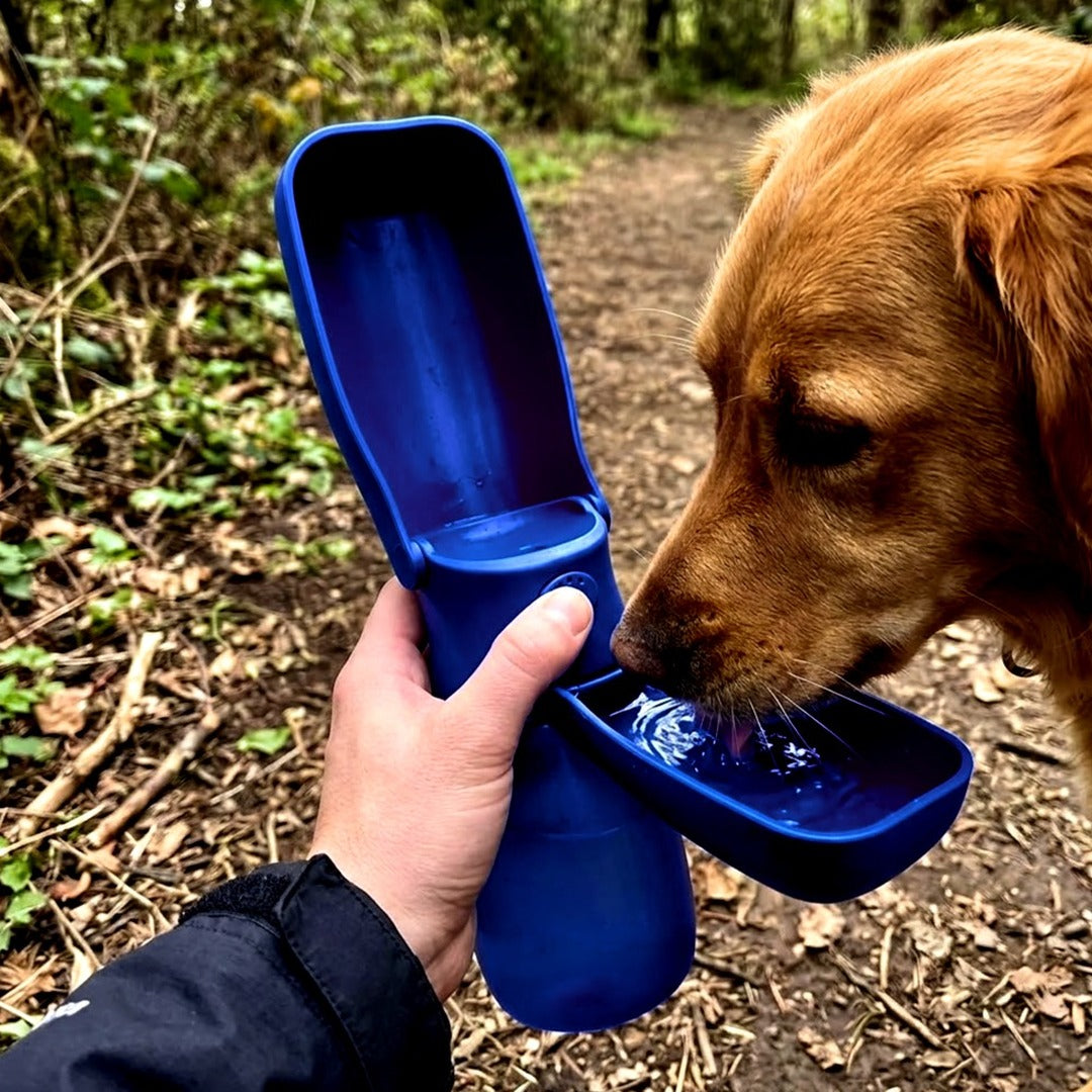 WePet Foldable Portable Dog Water Bottle with Drinking Feeder, 12 oz, Leak Proof