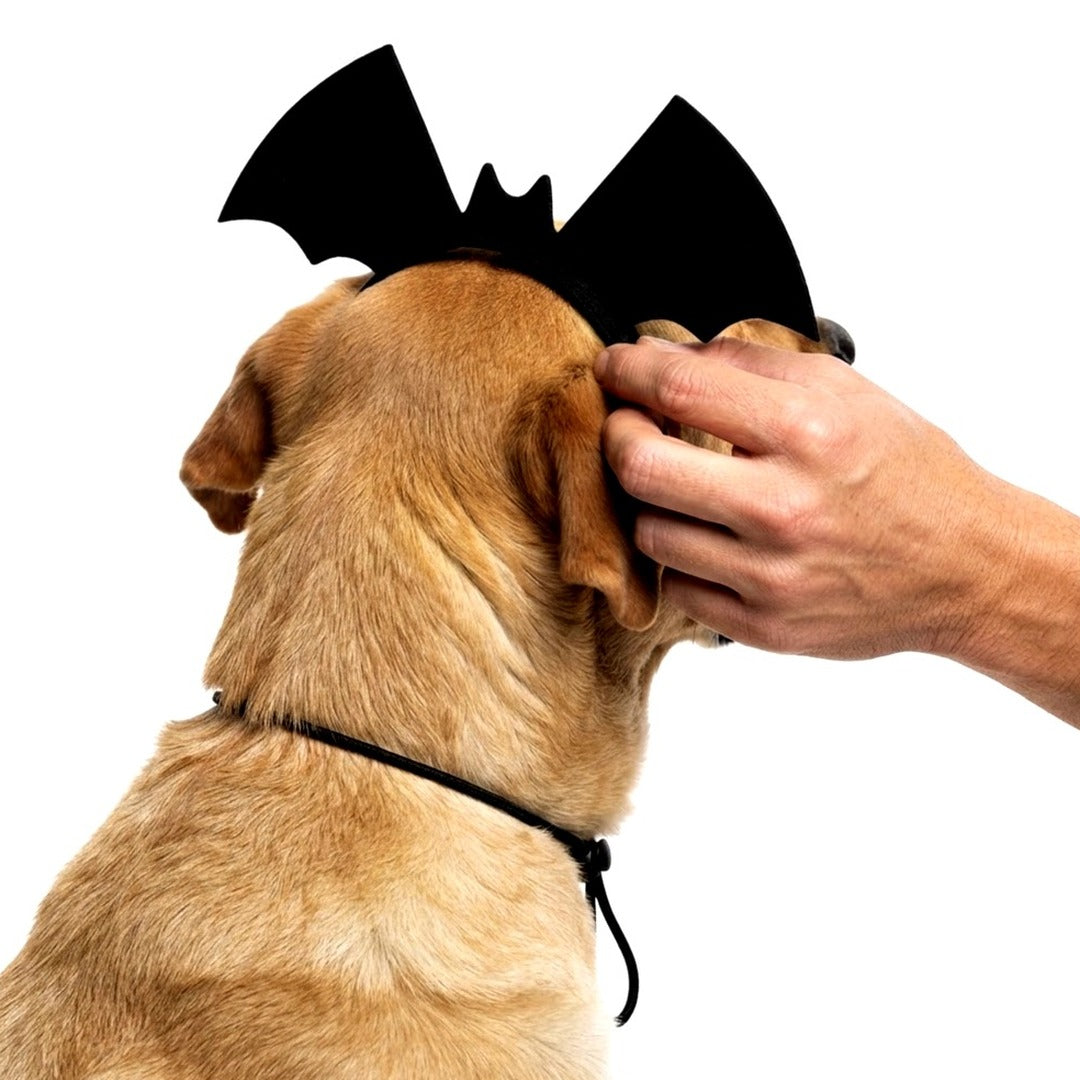 Halloween Dog Bat Wing Headband, Adjustable Black Felt Pet Costume Accessory
