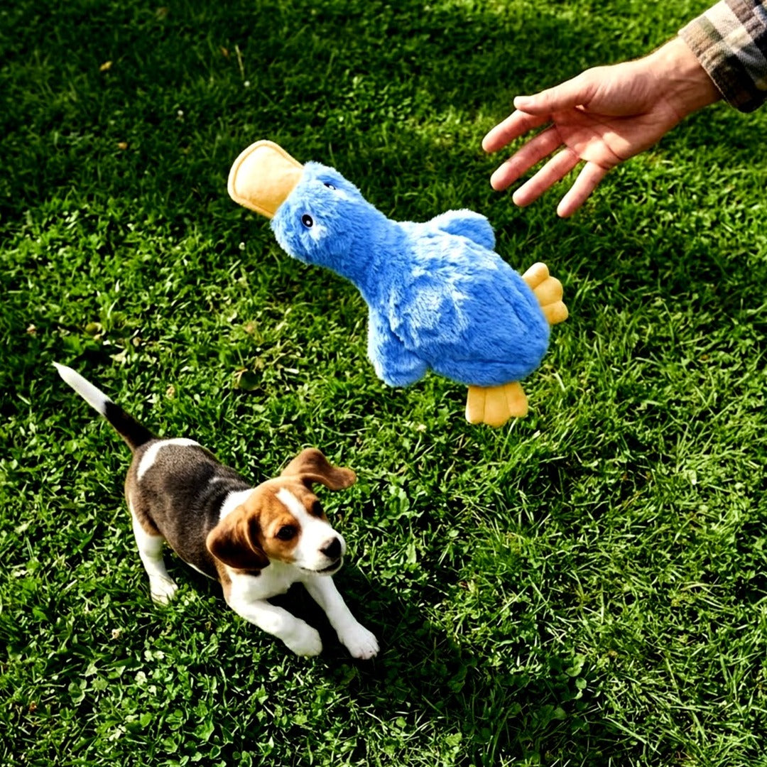 Best Pet Supplies Crinkle Duck Squeaky Plush Dog Toy, Blue, Soft Interactive Toy