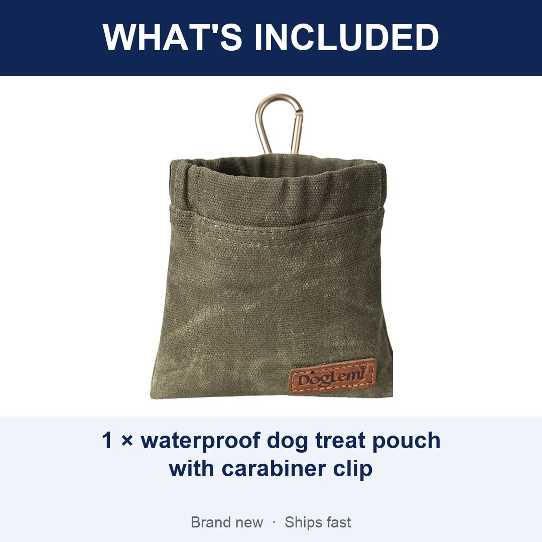 Portable Dog Treat Pouch, Hands-Free Waterproof Training Treat Bag with Carabiner