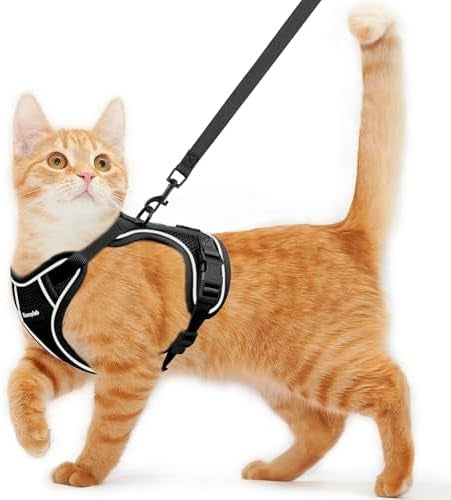 Escape-Proof Cat Harness and Leash Set, Soft Adjustable Vest for Walking
