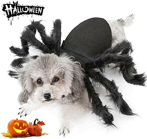 Spider Halloween Costume for Small Dogs and Cats, Felt with 8 Furry Legs