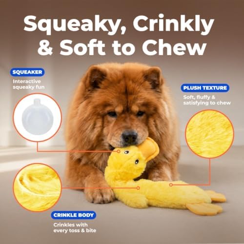 Squeaky Crinkle Duck Dog Toy, No-Stuffing Plush, Yellow