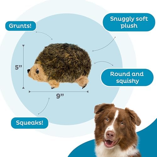 Outward Hound Hedgehogz Plush Dog Toy, Medium 9 in Squeaky Grunting Hedgehog Toy