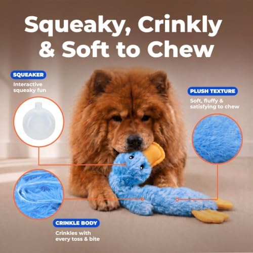 Best Pet Supplies Crinkle Duck Squeaky Plush Dog Toy, Blue, Soft Interactive Toy