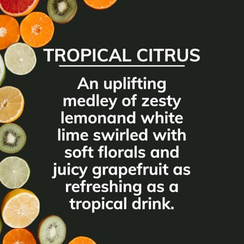 Citrus Magic Auto Solid Car Air Freshener, Tropical Citrus 8 oz, Flame-Free Odor Absorber