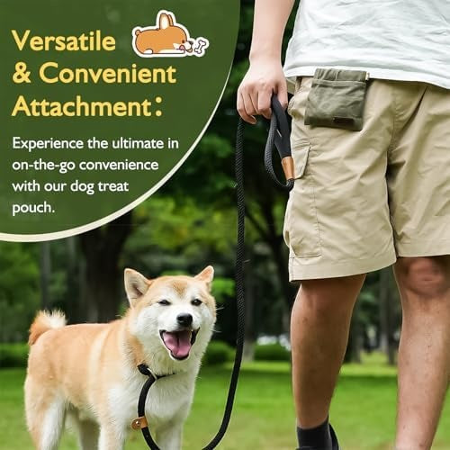Portable Dog Treat Pouch, Hands-Free Waterproof Training Treat Bag with Carabiner