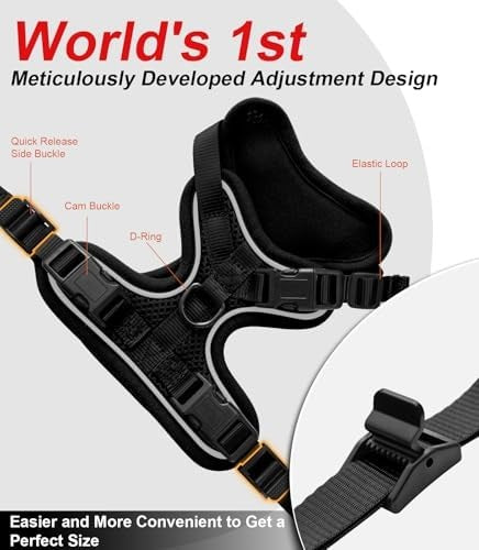 Escape-Proof Cat Harness and Leash Set, Soft Adjustable Vest for Walking