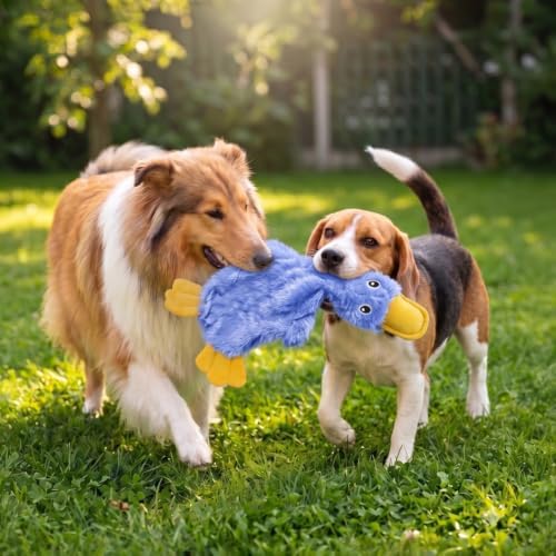 Best Pet Supplies Crinkle Duck Squeaky Plush Dog Toy, Blue, Soft Interactive Toy
