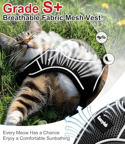 Escape-Proof Cat Harness and Leash Set, Soft Adjustable Vest for Walking