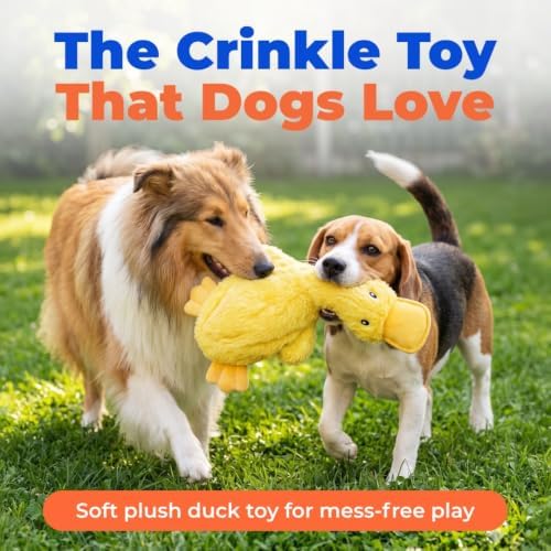 Squeaky Crinkle Duck Dog Toy, No-Stuffing Plush, Yellow