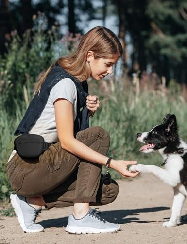 Magnetic Dog Treat Pouch with Training Clicker, 1.67 Cup, Black