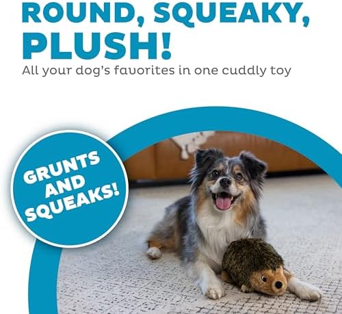 Outward Hound Hedgehogz Plush Dog Toy, Medium 9 in Squeaky Grunting Hedgehog Toy