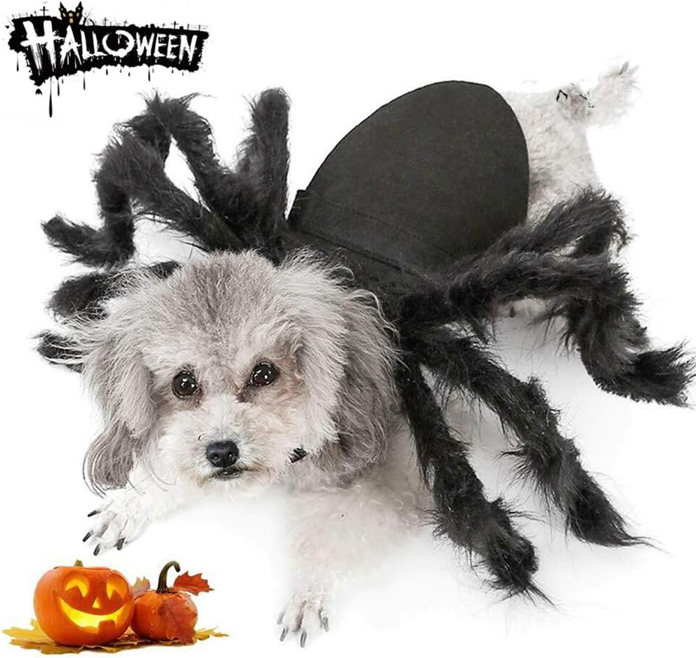 Spider Halloween Costume for Small Dogs and Cats, Felt with 8 Furry Legs