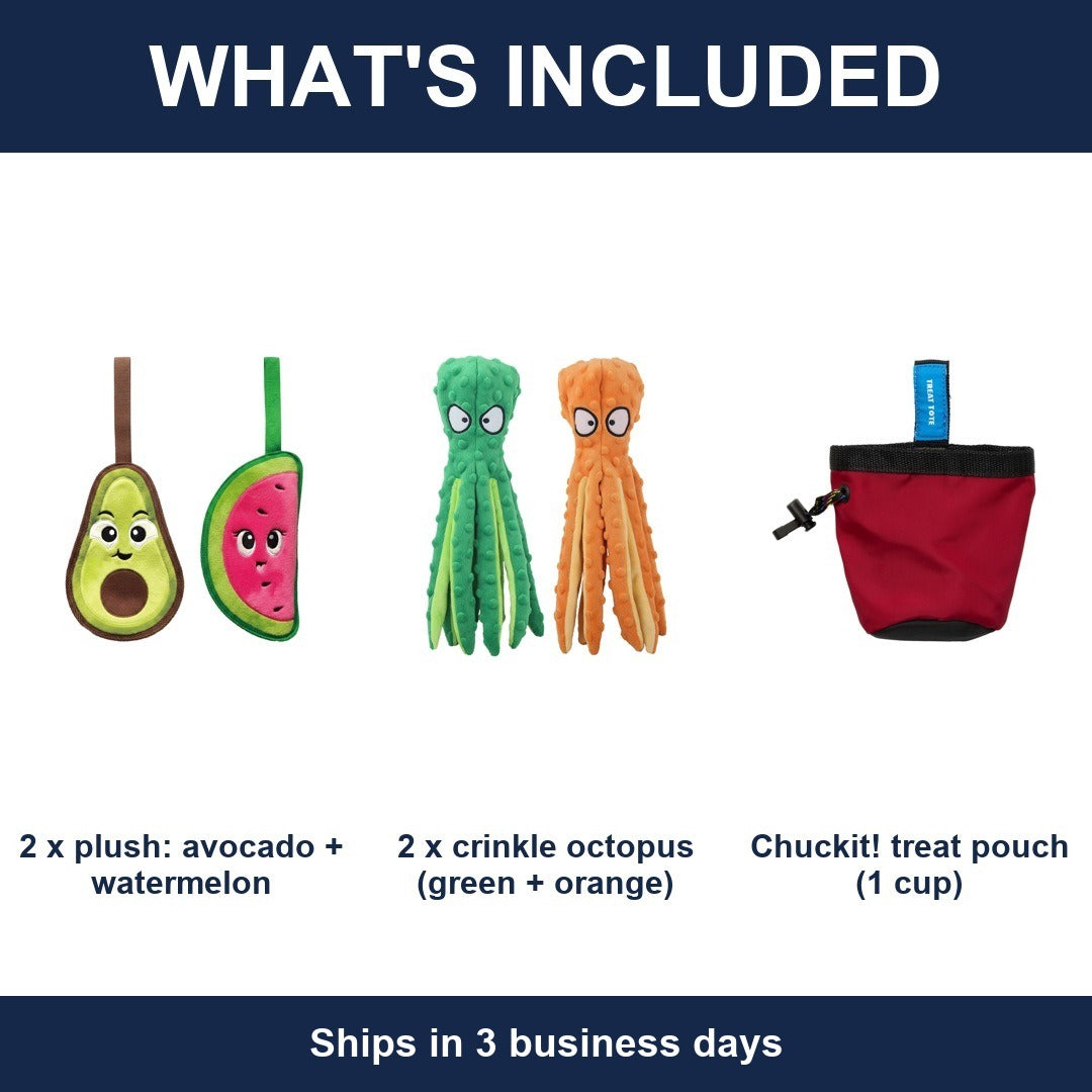 Dog Toy Gift Set 2 Plush Avocado + Watermelon, 2 Crinkle Octopus + Chuckit Pouch