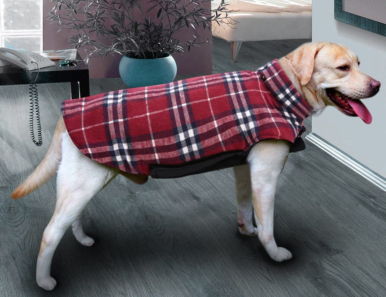 MIGOHI Dog Jackets for Winter Windproof Reversible Dog Coat for Cold Weather