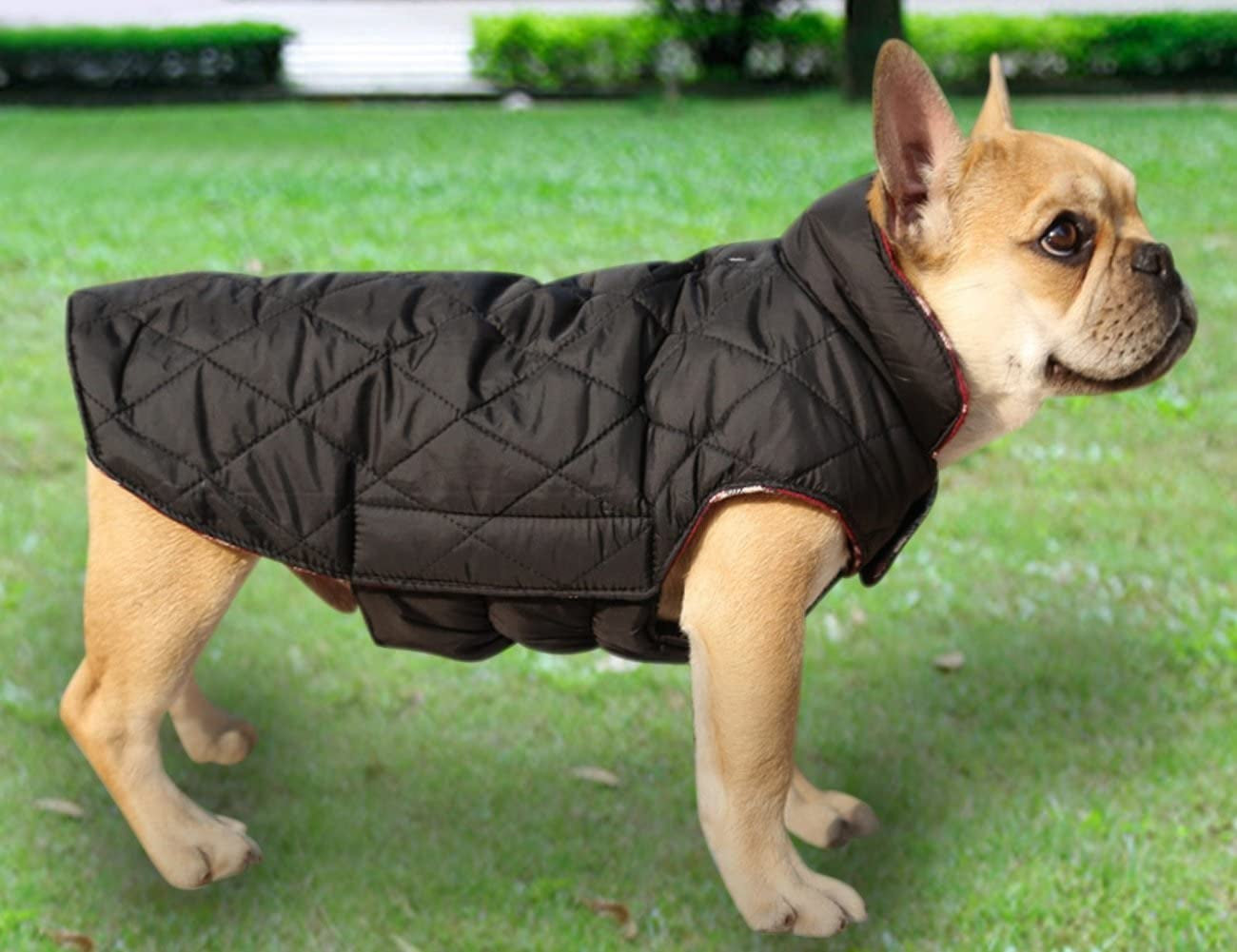 MIGOHI Dog Jackets for Winter Windproof Reversible Dog Coat for Cold Weather